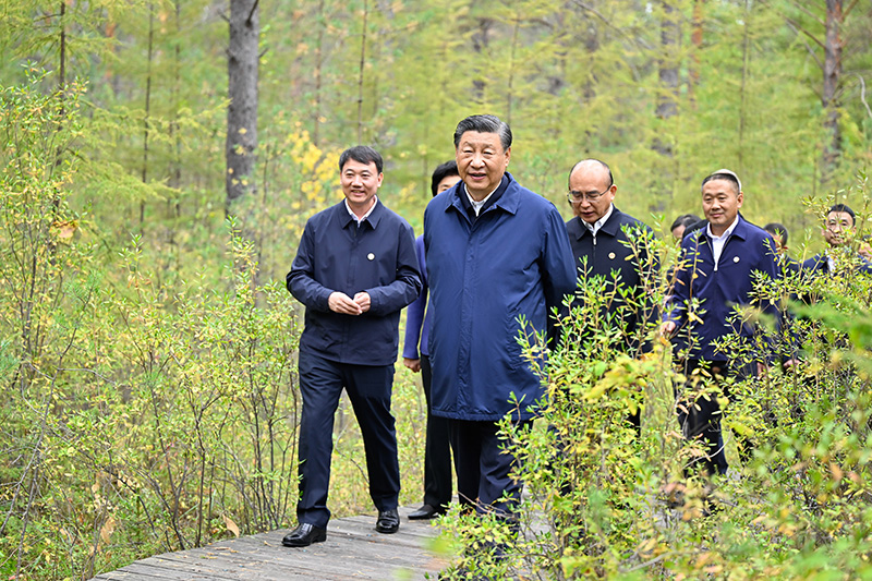 9月6日至8日，中共中央總書記、國(guó)家主席、中央軍委主席習(xí)近平在黑龍江考察。這是6日下午，習(xí)近平在大興安嶺地區(qū)漠河市漠河林場(chǎng)自然林區(qū)考察